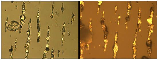 鐵譜分析圖譜--正常磨損