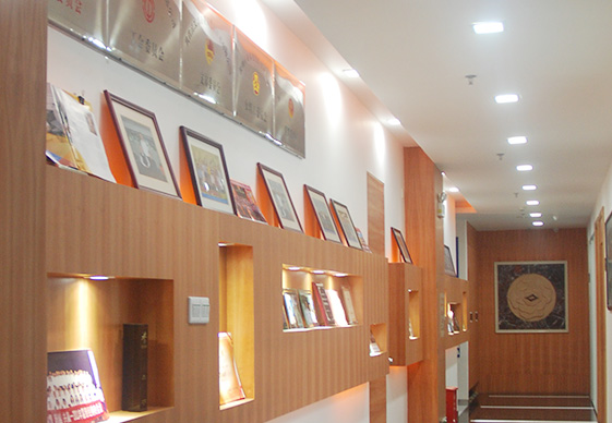 做為國產工業內窺鏡設備老品牌廠家，深圳亞泰光電深耕工業內窺鏡、工業管道內窺鏡、工業視頻內窺鏡等20余載，自主研發生產內窺鏡產品具有多項發明專利，內窺鏡廠家直銷，價格優惠。